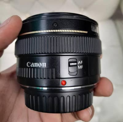canon 50mm 1.4