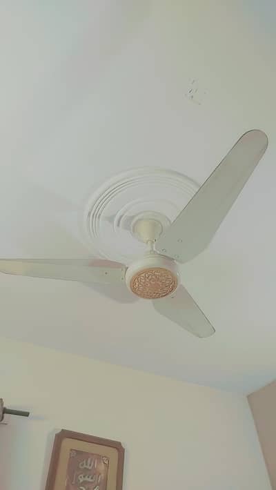 ceiling fan