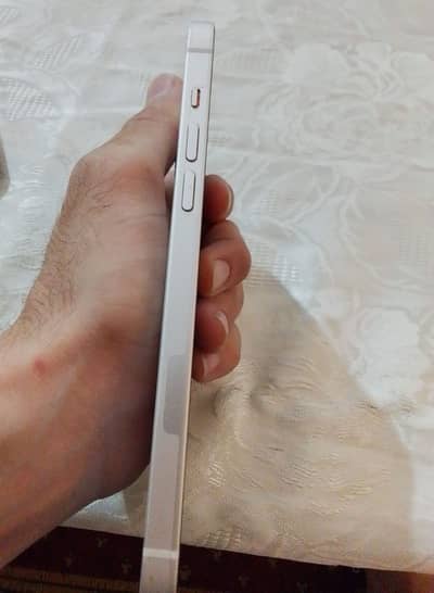 iPhone 14 Plus