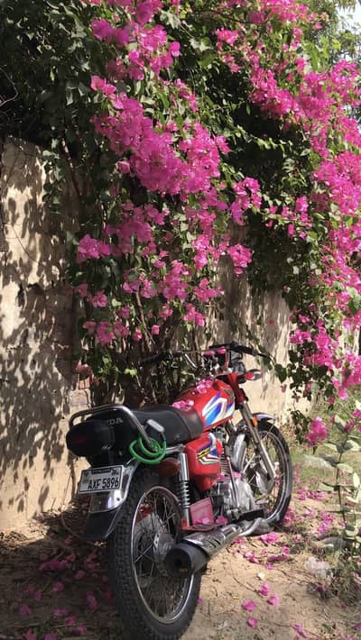Honda CG 125 | Prestine Condition | Urgent sale