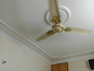 fan royal company
