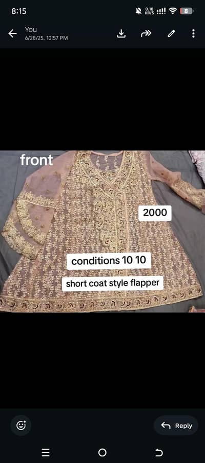 net embroidery frock