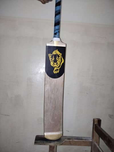 Cricket bat