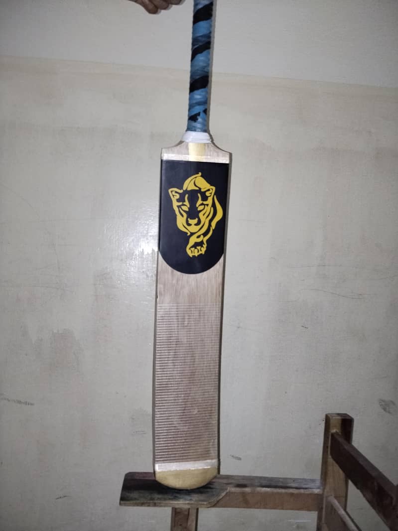Cricket bat 0