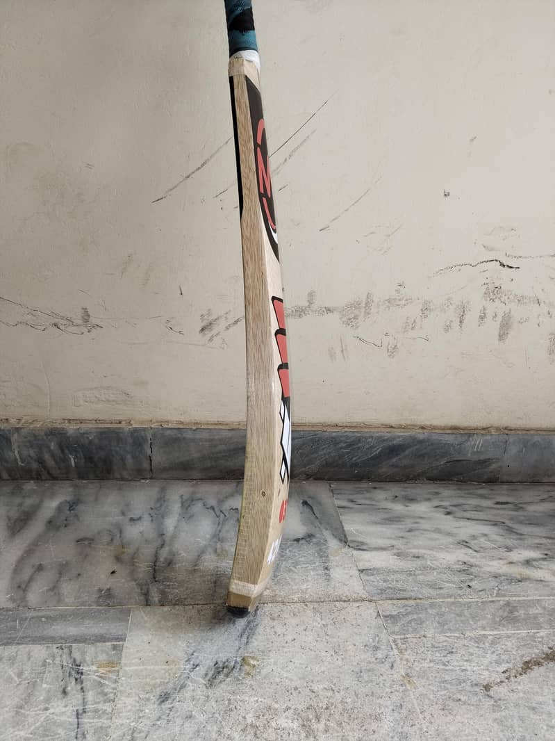 Cricket bat 2