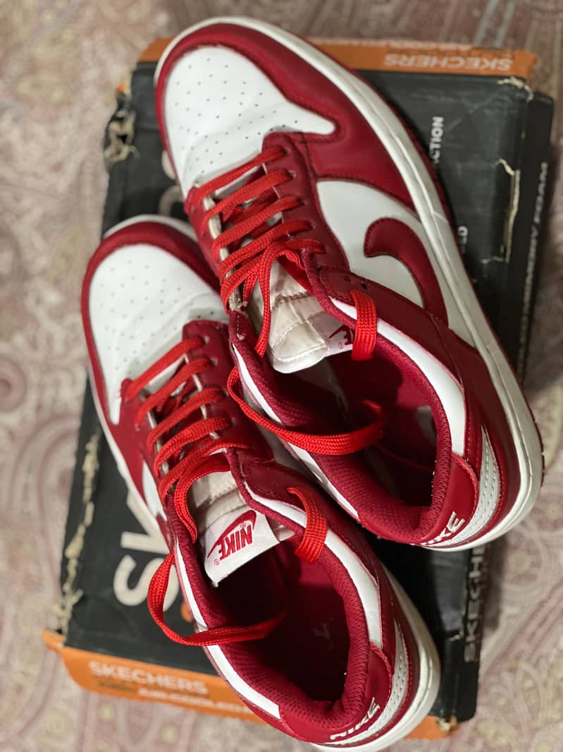 shose 1