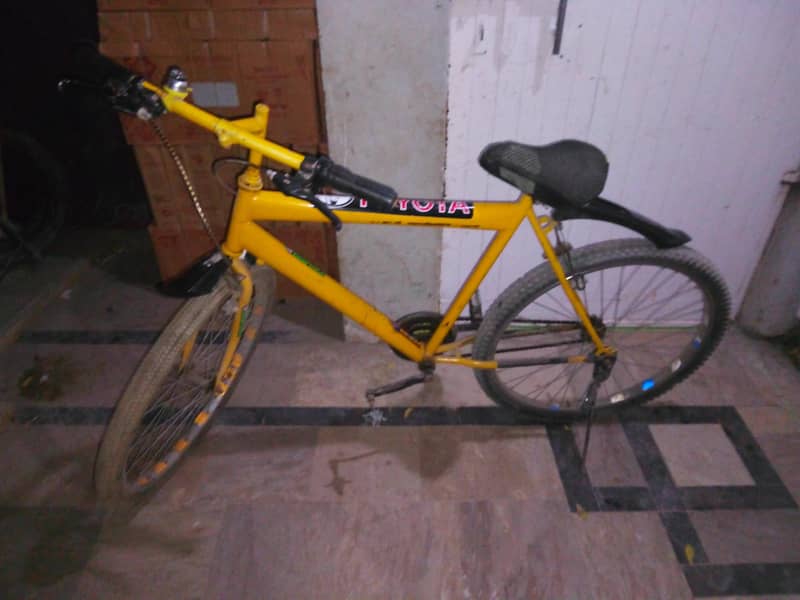 bicycle 2