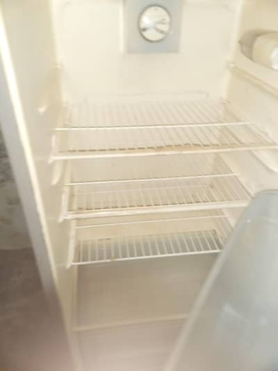 rolx  fridge