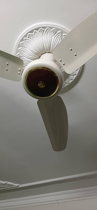 Royal Ceiling Fan Deluxe Series Roof Fans