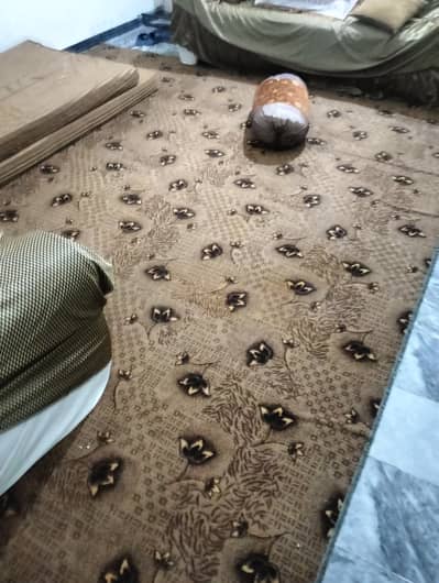 Used carpet of two sets
