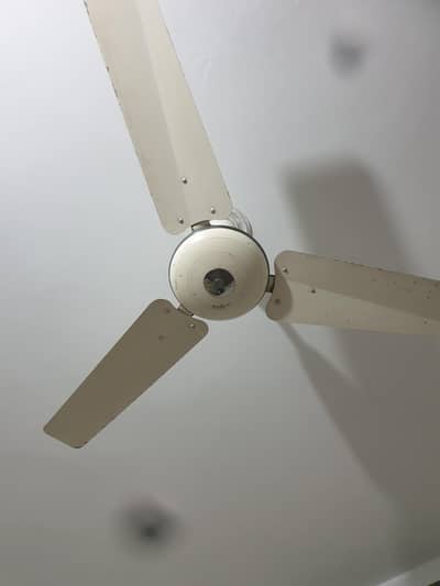 Pak Fan original copper ceiling fan