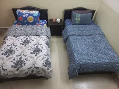 2 Single Adult Size Beds – Excellent Condition