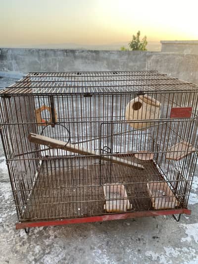 Parrot cage