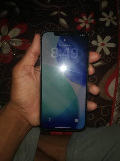 Apple iPhone 12 Pro Max
