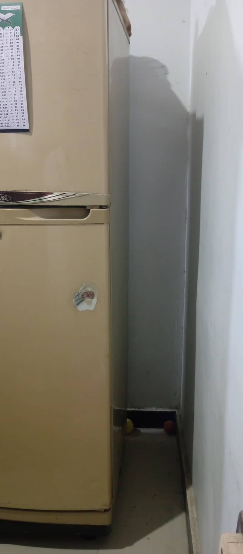 Waves Refrigerator 1