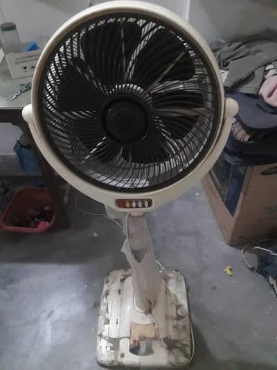 royal fan
