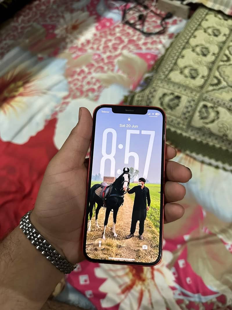 Apple iPhone 12 2