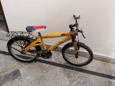focus bike