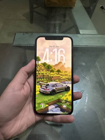 IPhone 12 waterpack