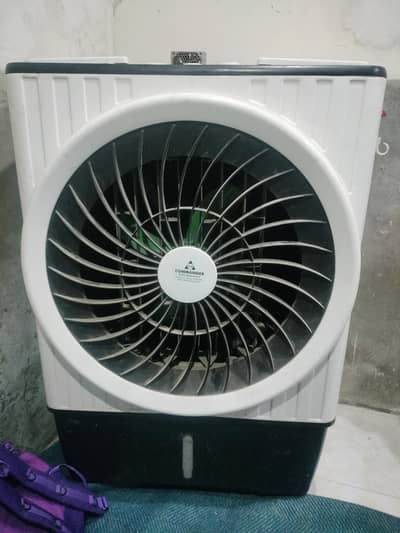 12 volt cooler