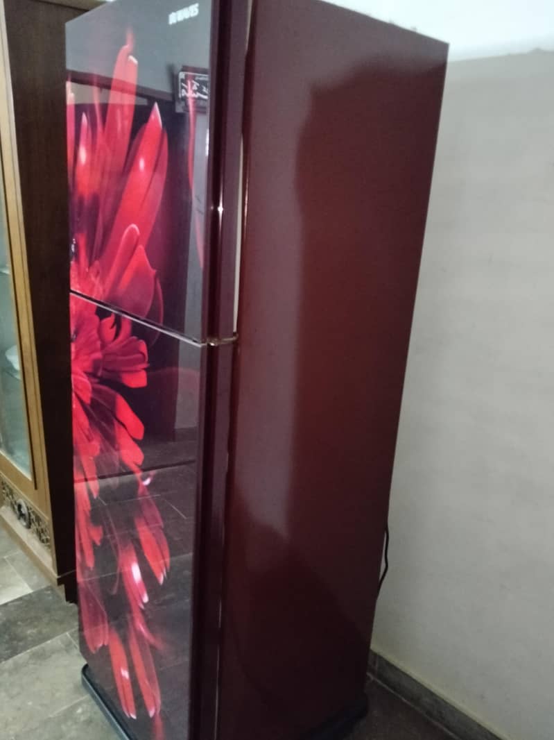 waves refrigerator 1