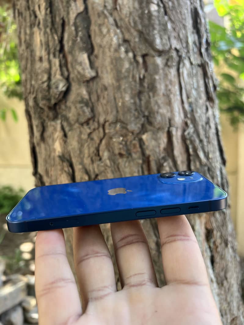 Apple iPhone 12 mini 1