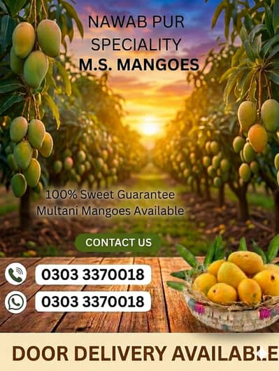 FRESH AND DELICIOUS MULTANI MANGOES