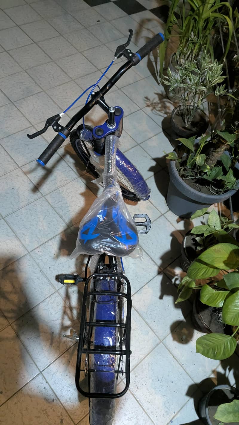 New cycle 2