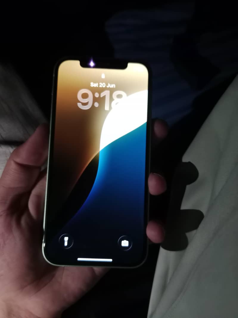  iPhone 12 1