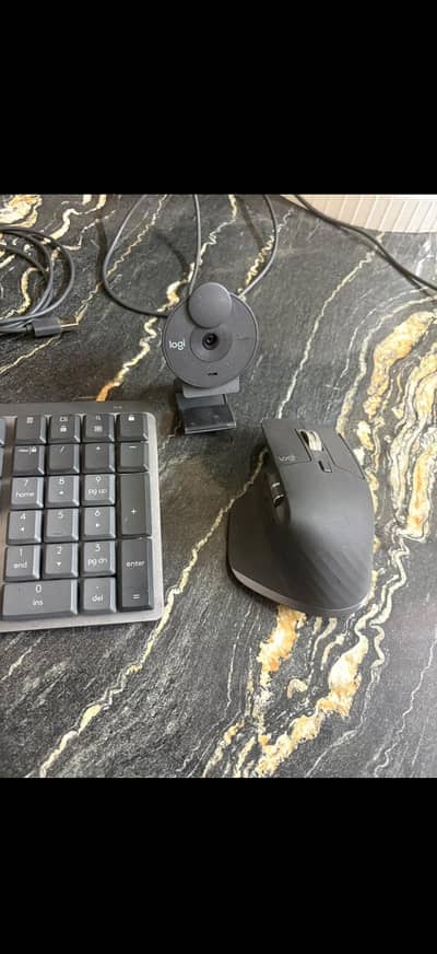 Logitech brio Webcam c type