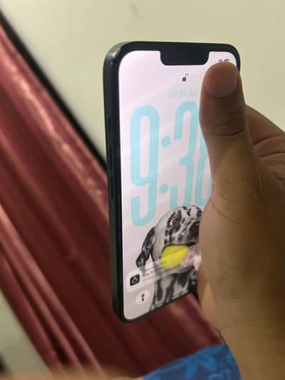 Apple iPhone 16e non pta sim working