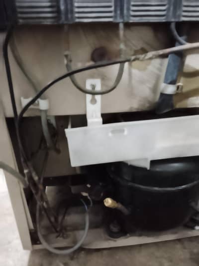 Dawlance medium size fridge
