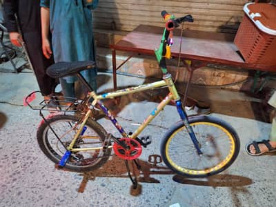 Phoenix Cycle for sale