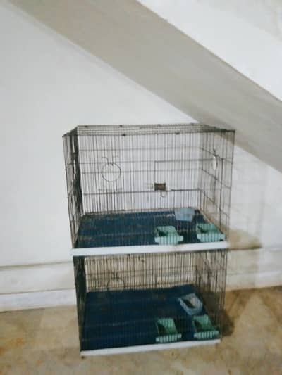 Iron Cage