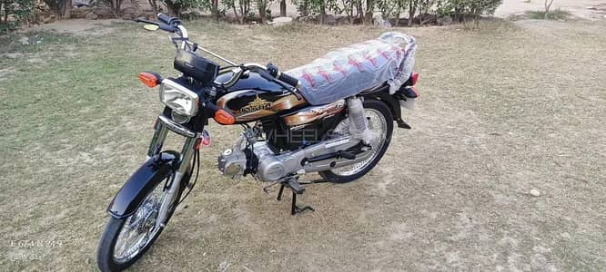 Union Star 70cc Pulsar - Special Edition Built for Everyday Excellence