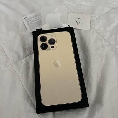 Apple iPhone 13 Pro Max