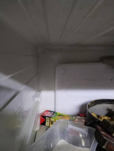 fridge