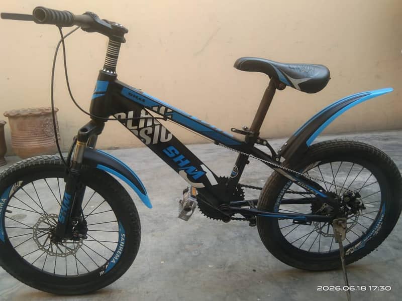 bicycle 1