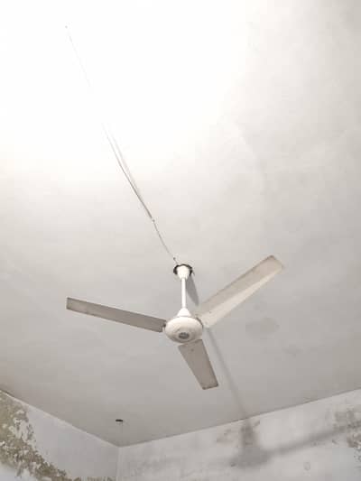 1 Pak Fan 56" Ceiling Fan
