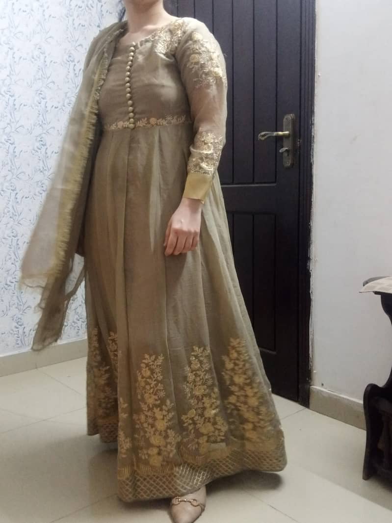 Fancy Dresses 7