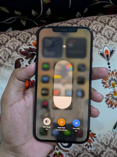 Apple iPhone 12 Pro Max