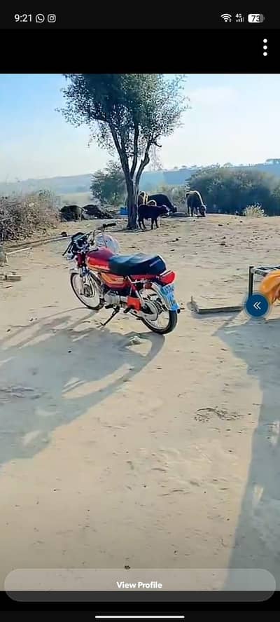bike ki condition acchi hai engine nahi khula hua original parts Koi c