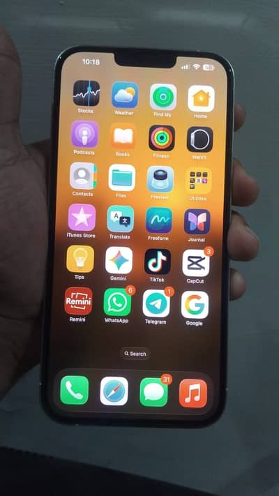 Apple iPhone 13 Pro Max
