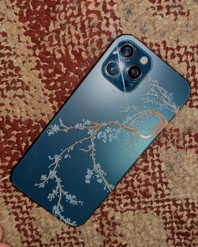 Apple iPhone 12 Pro Max