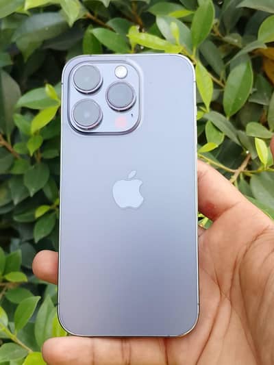 Apple iPhone 13 Pro Max