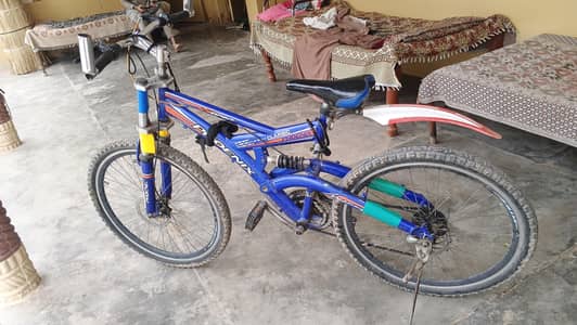 phoenix bicycle