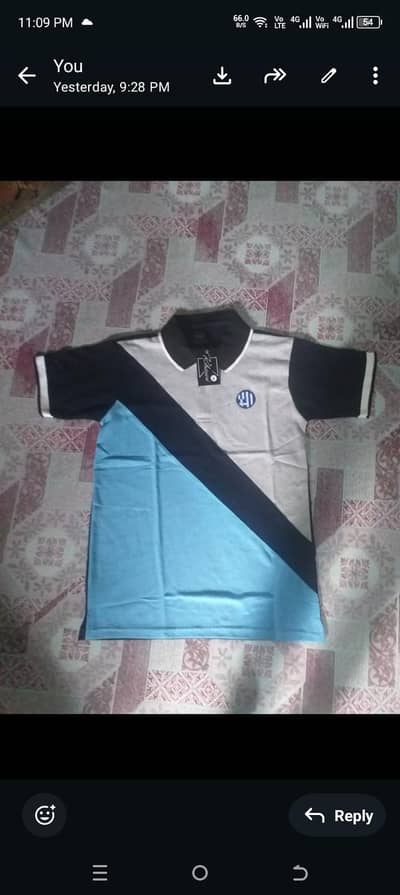 Men's t shirt