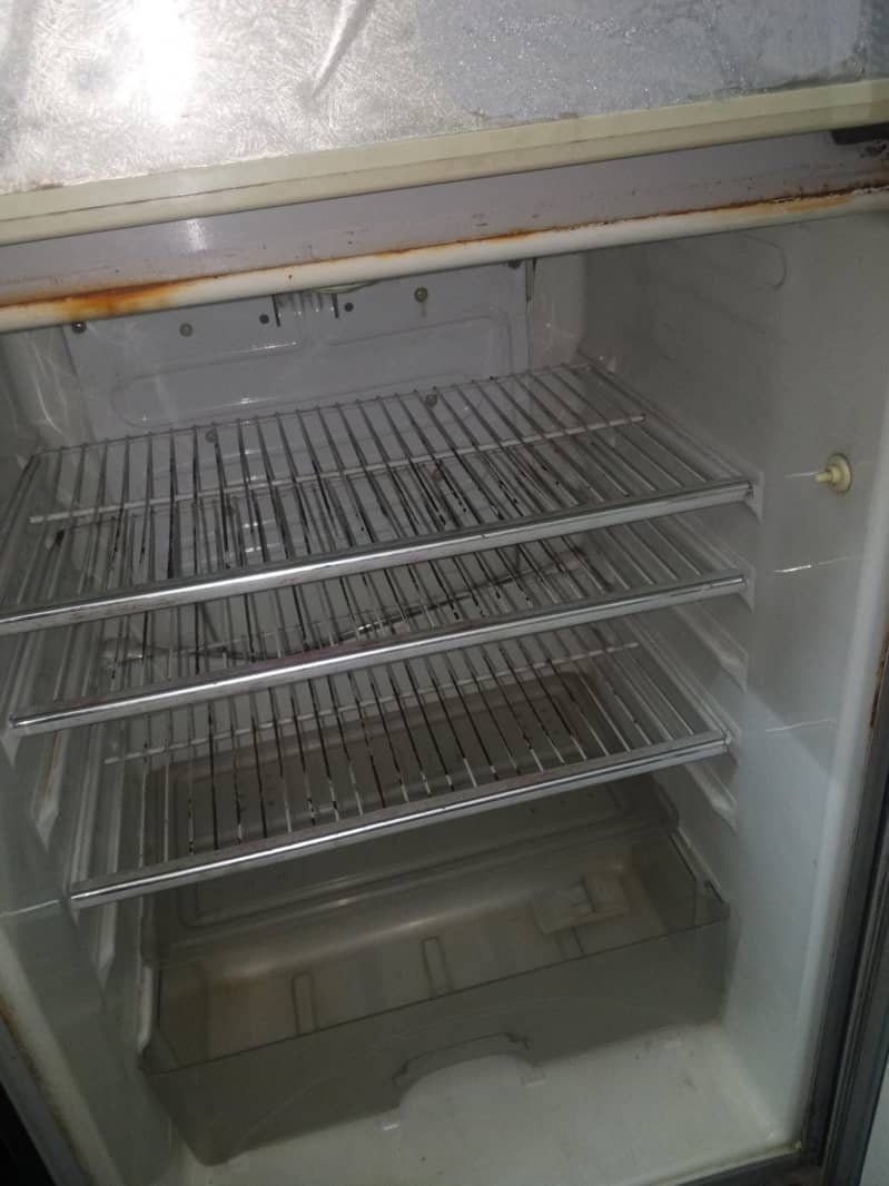 Fridge 1