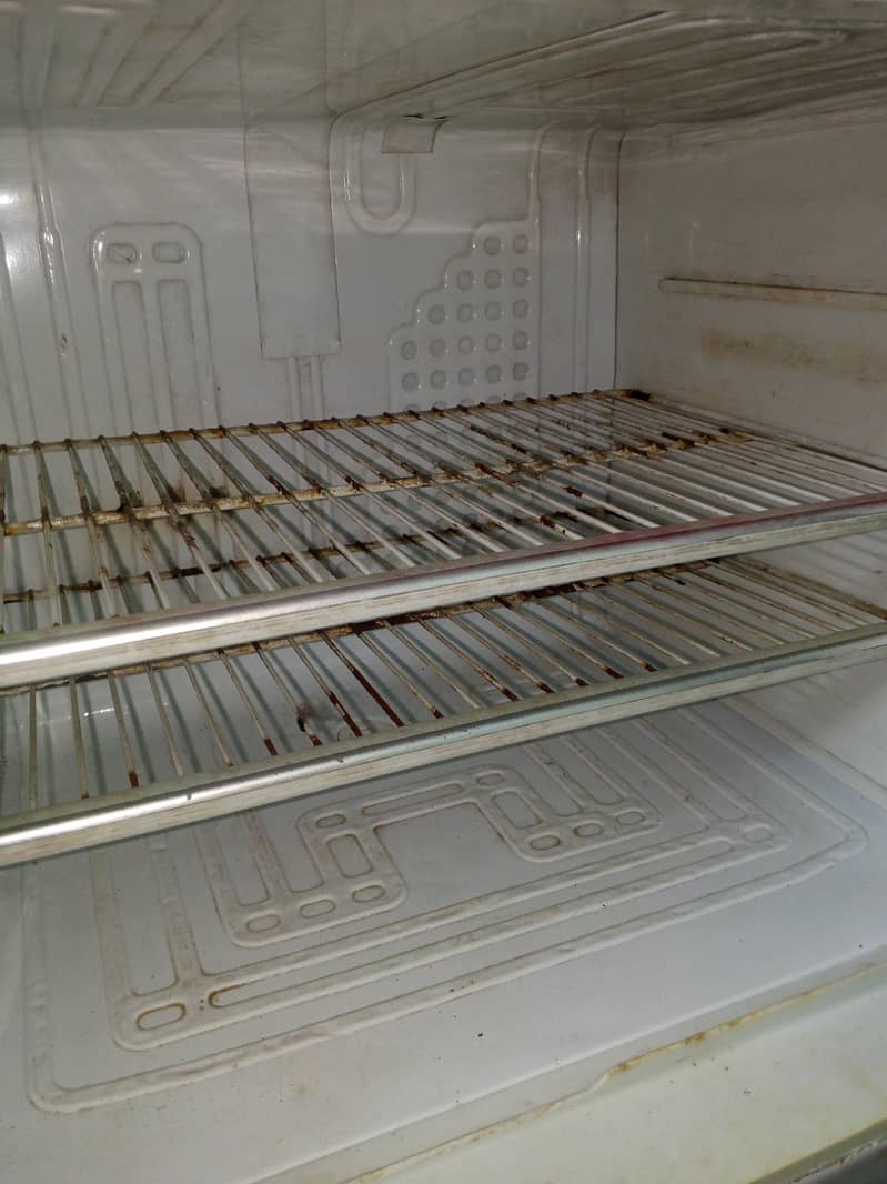 Fridge 3