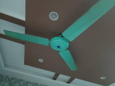 selling fan